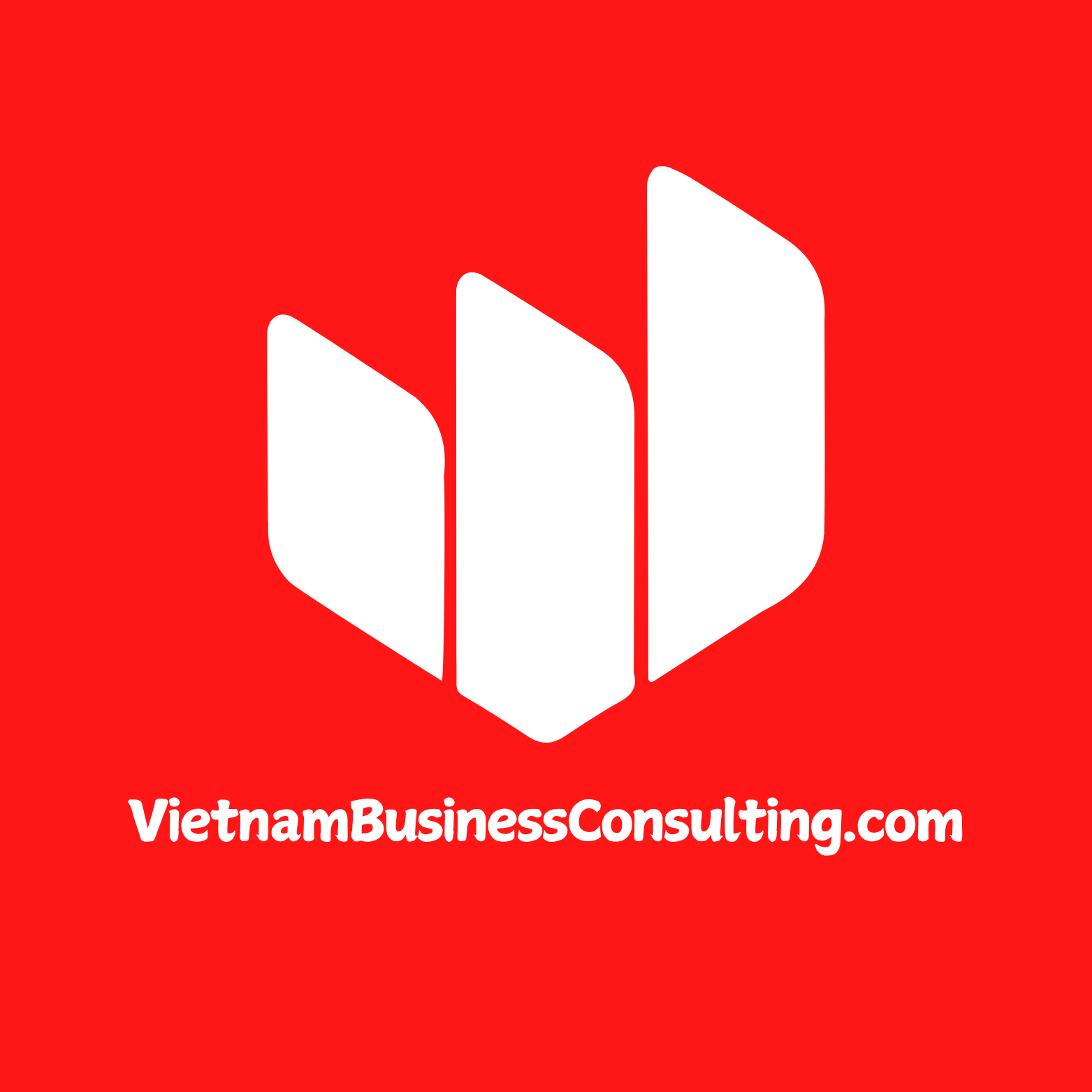 Vietnam Business Consulting